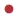 Steering Committee Pin