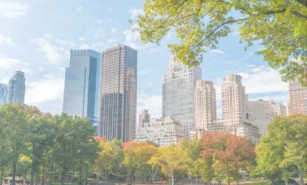 City Skyline